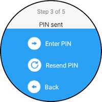 PIN sent screen with Enter PIN option