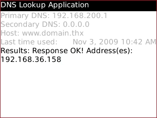 DNS Lookup screen with results