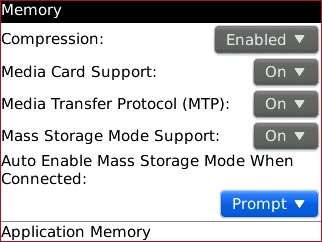 Memory screen with Auto Enable Mass Storage Mode When Connected setting