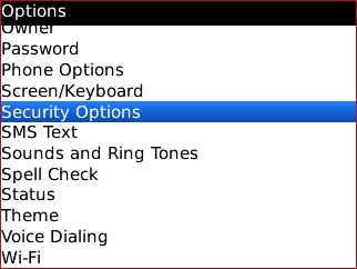 Options screen with Security Options