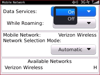 Mobile Network with Data Services setting