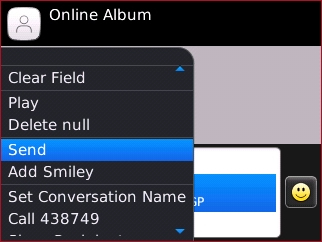 Online Album menu with Send