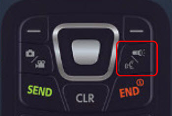 Voice/Flashlight key