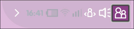 Parent Icon
