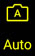 Auto Icon