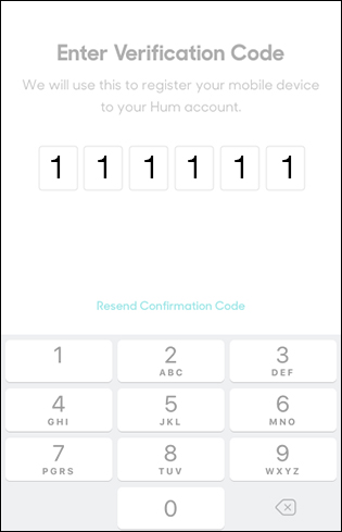 Enter the Verification Code