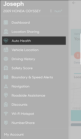 Menu Auto Health